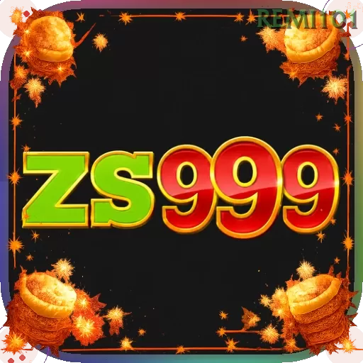 Zs999
